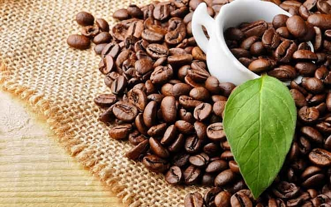 Étendre les parts de marché du café vietnamien en Chine